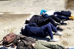 inuwashi2019sp_0037-375x500