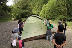 rindou2018_0049-500x333