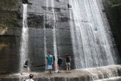 rindou2018_0070-500x333