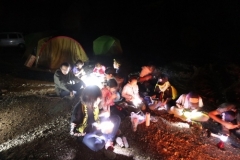 rindou2018_0176-500x333