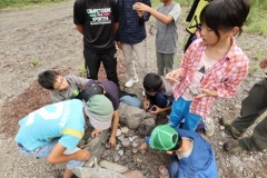 rindou2018_0201-500x333