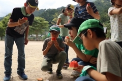 rindou2018_0450-500x333