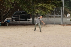 rindou2018_0453-500x333