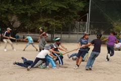 rindou2018_0574-500x333