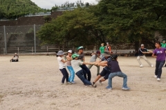 rindou2018_0580-500x333